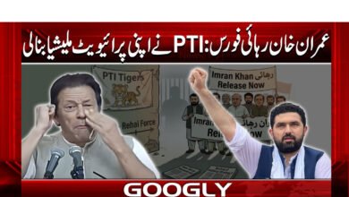 PTI's private militia formed in the name of Imran Khan's release force