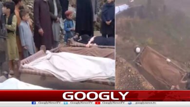 Afghan Taliban attack on civilians in Bajaur, 4 brothers martyred, child seriously injured