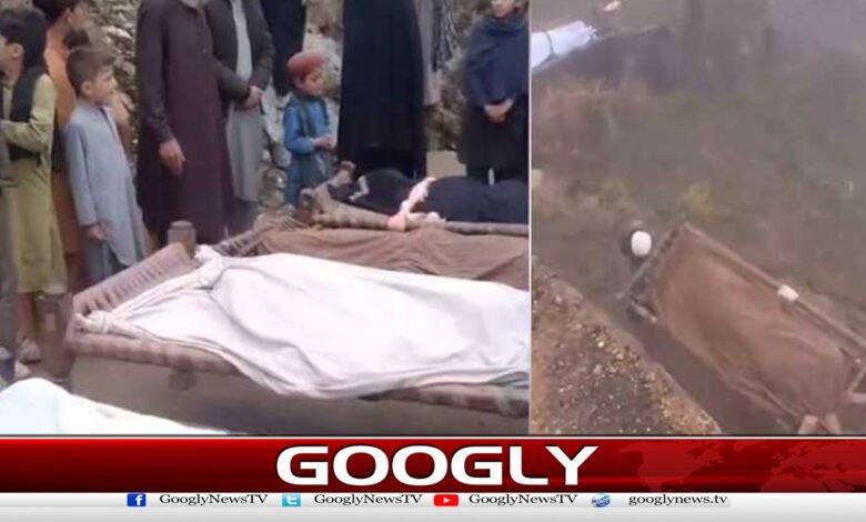 باجوڑ،افغان طالبان کا شہریوں پر حملہ، 4 بھائی شہید، بچہ شدید زخمی 1 Afghan Taliban attack on civilians in Bajaur, 4 brothers martyred, child seriously injured