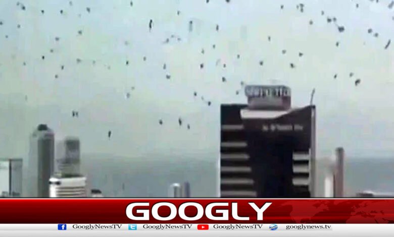تل ابیب پر اڑتے کوؤں کے جُھنڈ نے ہلچل مچادی 1 A flock of crows flying over Tel Aviv caused a stir