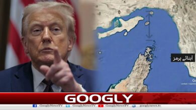 Several countries are sending warships to the Strait of Hormuz: Trump