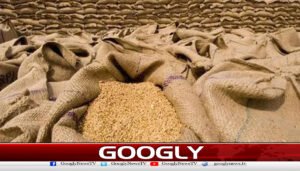  پاکستان کایواے ای کو گندم مصنوعات برآمدکرنے کا فیصلہ