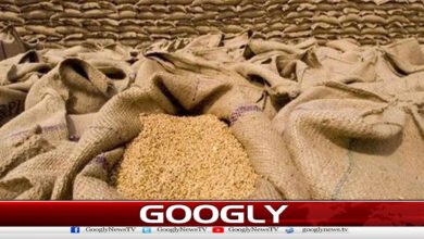 پاکستان کایواے ای کو گندم مصنوعات برآمدکرنے کا فیصلہ 5 Pakistan decides to export wheat products to UAE