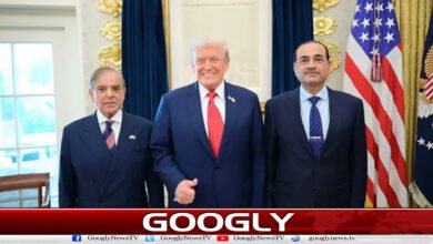 پاکستان کی درخواست پر صدر ٹرمپ نے دو ہفتے کی جنگ بندی پر راضی 5 President Trump agrees to two-week ceasefire at Pakistan's request
