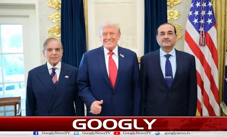 پاکستان کی درخواست پر صدر ٹرمپ نے دو ہفتے کی جنگ بندی پر راضی 1 President Trump agrees to two-week ceasefire at Pakistan's request