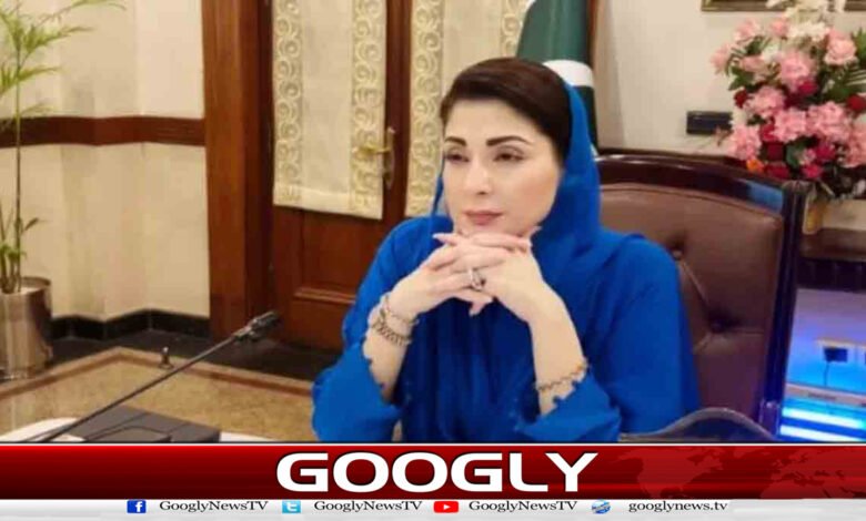 Chief Minister Maryam Nawaz approves establishment of cybercrime unit