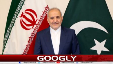 Pakistan's role in ending the war is commendable: Iranian Ambassador Reza Amiri Moqadam