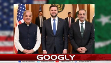 مذاکرات میں پاکستان نے اہم کردار ادا کیا : امریکی نائب صدر 2 Pakistan played an important role in the negotiations: US Vice President