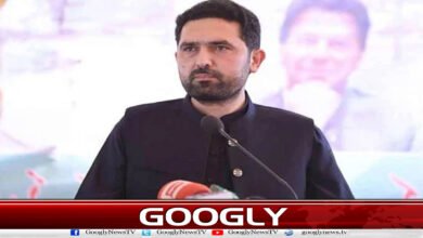 Investing in youth is the government's mission: Sohail Afridi