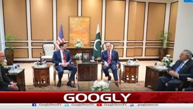 US Vice President meets Prime Minister, discusses bilateral cooperation