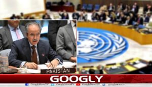 جنگ بندی معاہدے میں لبنان بھی شامل ہے : پاکستانی مندوب عاصم افتخار