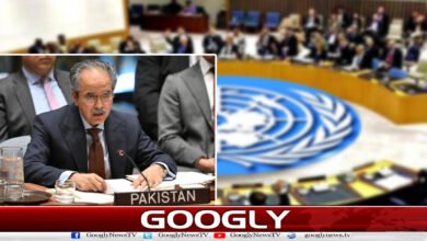 Lebanon is also included in the ceasefire agreement: Pakistani delegate Asim Iftikhar