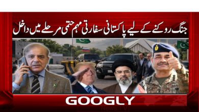 10 جنگ روکنے کے لیے پاکستانی سفارتی 1