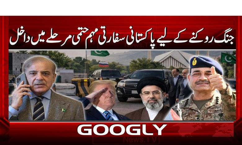 جنگ روکنے کے لیے پاکستانی سفارتی مہم حتمی مرحلے میں داخل 1 10 جنگ روکنے کے لیے پاکستانی سفارتی 1