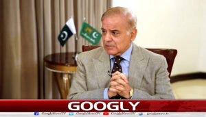 کرپشن کیس: شہباز شریف کی بیٹی اور داماد کو 7 مئی تک گرفتار نہ کرنے کا حکم