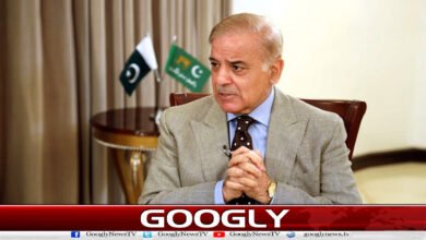 Corruption case: Order not to arrest Shehbaz Sharif’s daughter and son-in-law until May 7