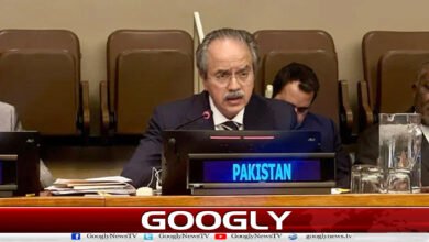 The main cause of instability in the Middle East is the Palestinian issue: Pakistan