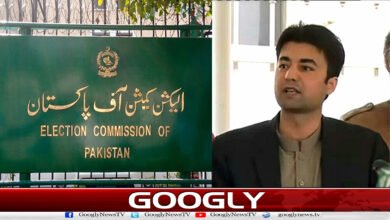 Election Commission: By-election for Murad Saeed's Senate seat postponed