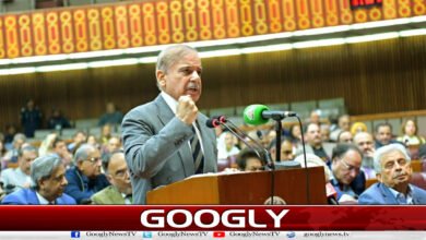 Is the government really going to bring a mini budget soon?