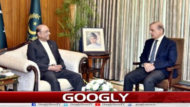 وزیراعظم کی صدر مملکت سے ملاقات، امریکا ایران مذاکرات پر اعتماد میں لیا 5 Prime Minister meets President, takes US into confidence on Iran talks