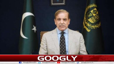 Pakistan is trying to stop the ongoing war in the Middle East: Prime Minister