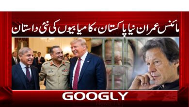 Minus Imran Naya Pakistan, a new story of success