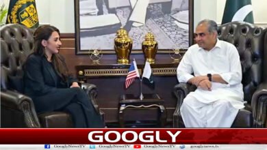 امریکی نائب صدر سمیت دیگر حکام خصوصی مہمان ہوں گے: محسن نقوی 2 US Vice President and other officials will be special guests: Mohsin Naqvi