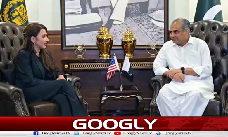 US Vice President and other officials will be special guests: Mohsin Naqvi