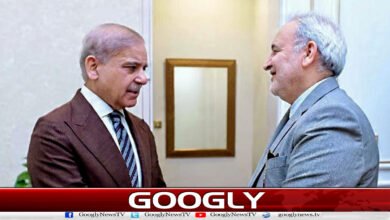 Iranian Ambassador meets Prime Minister Shahbaz Sharif, discusses regional situation