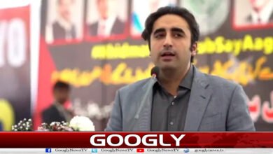 پاکستان مشرق وسطیٰ میں جاری جنگ کے خاتمے کےلیے کوشاں ہیں : بلاول بھٹو 5 Pakistan is working to end the ongoing war in the Middle East: Bilawal Bhutto