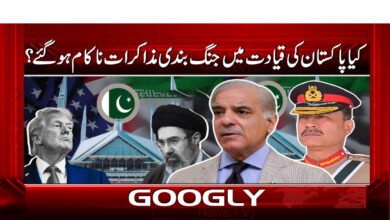 کیا پاکستان کی قیادت میں جنگ بندی مذاکرات ناکام ہو گئے؟ 5 3 کیا پاکستان کی قیادت میں 1