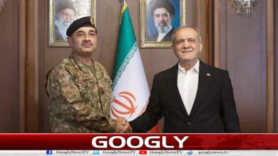 Field Marshal leaves everyone behind in diplomatic race for peace