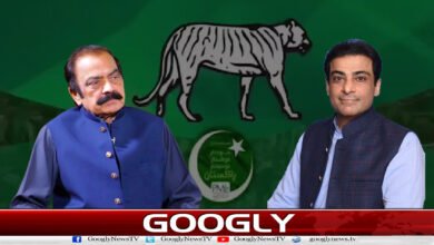 Hamza Shahbaz replaces Rana Sanaullah as Punjab PML-N President