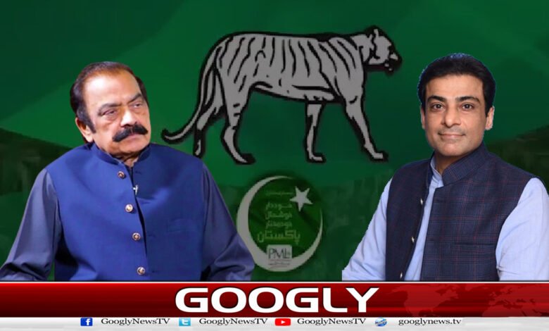 Hamza Shahbaz replaces Rana Sanaullah as Punjab PML-N President