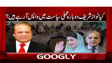 6 .12254 9 کیا نواز شریف دوبارہ عملی سیاست 1 1