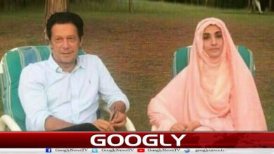 بشری بی بی کی اجارہ داری: اپنا ڈرائیور سینیٹ کا امیدوار بنا دیا 5 Bushra Bibi's monopoly: She made her driver a candidate for the Senate