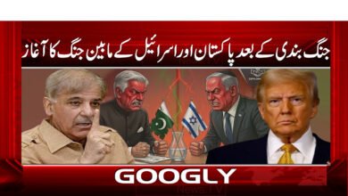 جنگ بندی کے بعد پاکستان اور اسرائیل کے مابین جنگ کا آغاز 5 7 جنگ بندی کے بعد پاکستان اور اسرائیل 1