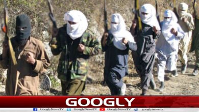 What is Al-Qaeda's chief commander, Commander Saif al-Adl, doing in Iran?