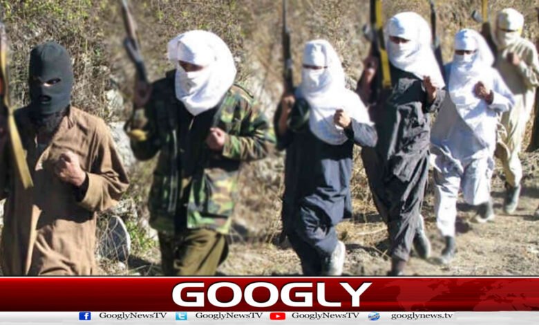 What is Al-Qaeda's chief commander, Commander Saif al-Adl, doing in Iran?