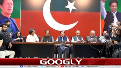 How are growing internal differences sinking the PTI's boat?