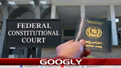 Federal Constitutional Court: Invalid provisions of Passport and Immigration Rules restored