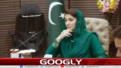 Public awareness is essential to reduce the effects of natural disasters: Maryam Nawaz