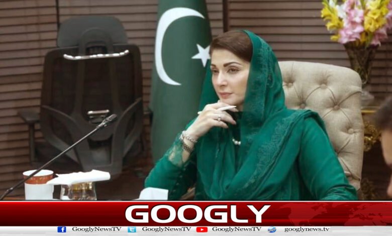 Public awareness is essential to reduce the effects of natural disasters: Maryam Nawaz
