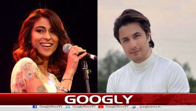 How did it take singer Ali Zafar 8 years to prove himself?