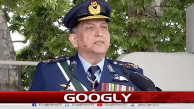 The efforts of the political and military leadership to establish peace are commendable, says the Air Chief.
