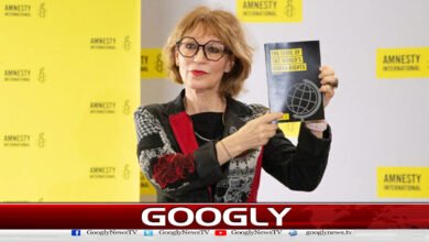 Abuse of veto power is paralyzing the system, Amnesty International says