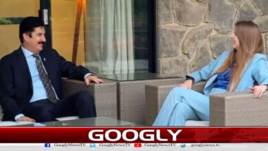 British High Commissioner meets KP Governor, praises Pakistan's role in ceasefire