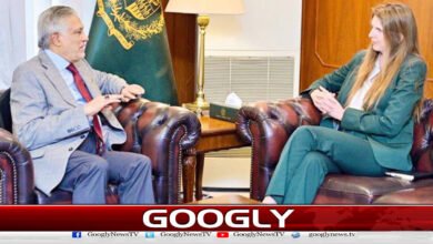 Negotiations are an effective solution to Iran-US conflicts: Ishaq Dar