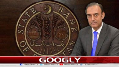 Economy faces challenges due to Middle East, says State Bank Governor