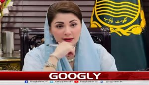 زمین آنے والی نسلوں کی امانت، تحفظ ناگزیر ہے: مریم نواز